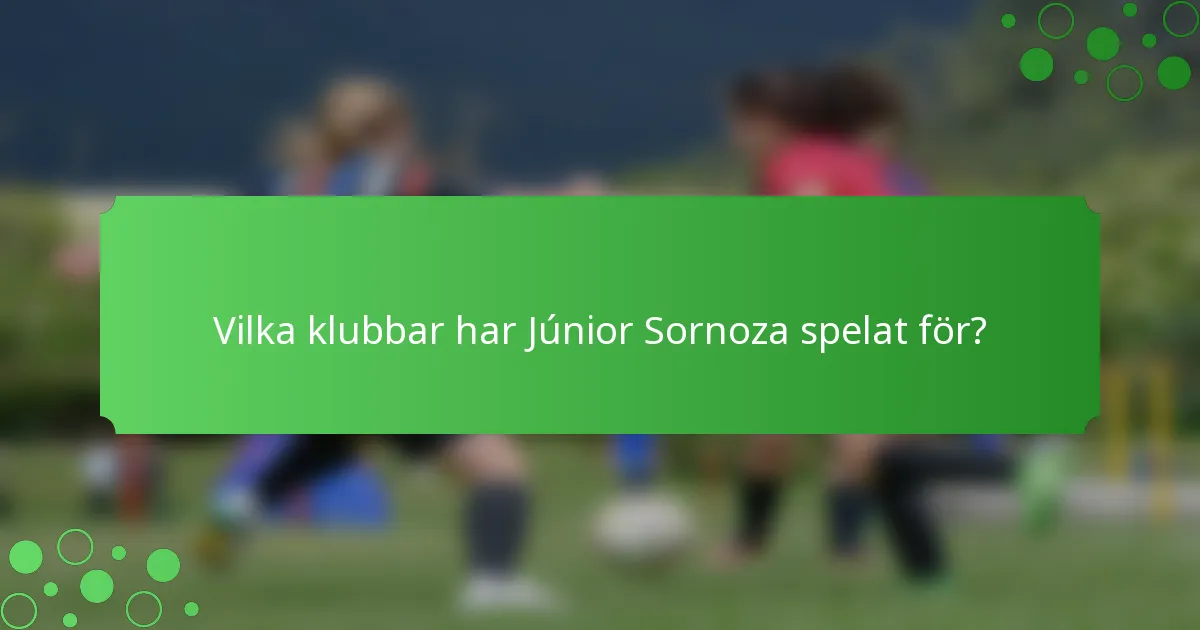 Vilka klubbar har Júnior Sornoza spelat för?